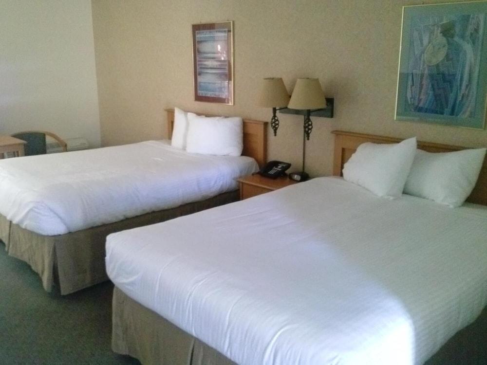เดอะ ลอดจ์ แอท คลิฟ คาสเซิล กาสิโน Hotel แคมป์เวอร์ด ภายนอก รูปภาพ